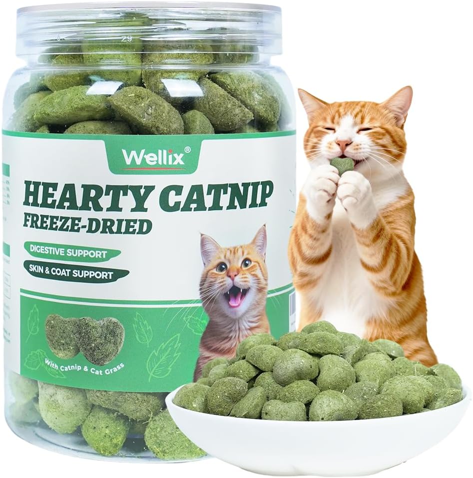 Wellix-Catnip-Treats-Freeze-Dried-Cat-Treats,-Grain-Free-Snacks-with-Chicken,-Cat-Grass-&-Catnip-233