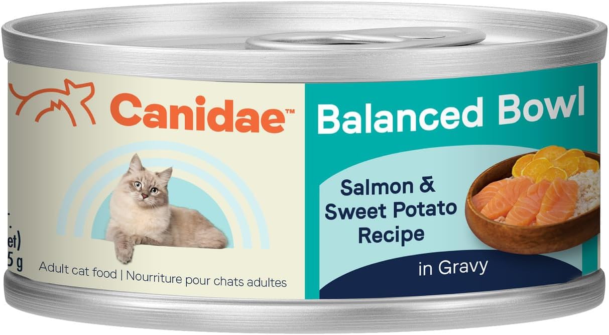 Canidae-Balanced-Bowl-Wet-Cat-Food,-Salmon-&-1317