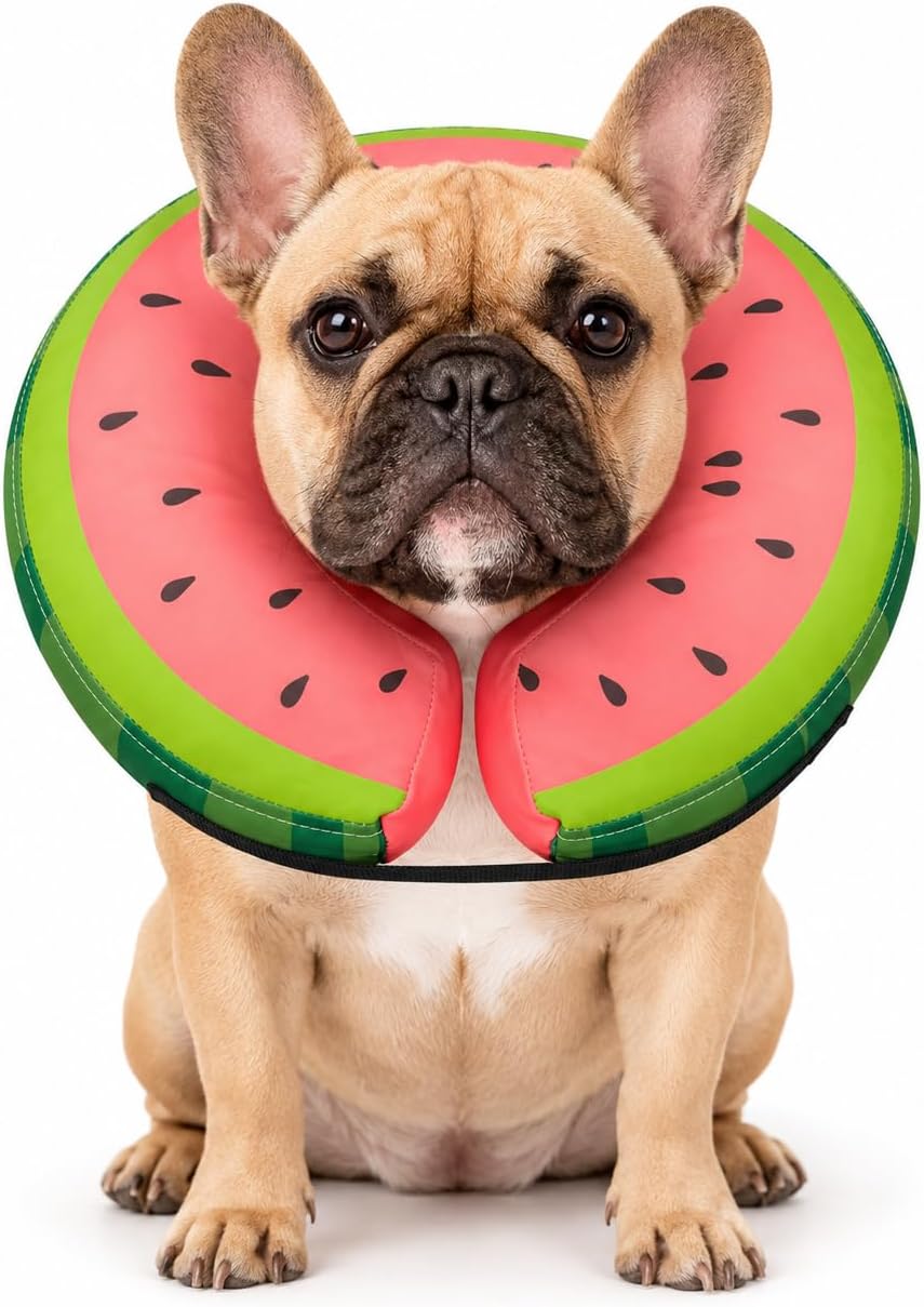 MIDOG-Soft-Inflatable-Dog-Cone,-Donut-E-Collar-Alternative-for-After-Surgery,-Prevents-Licking,-1393