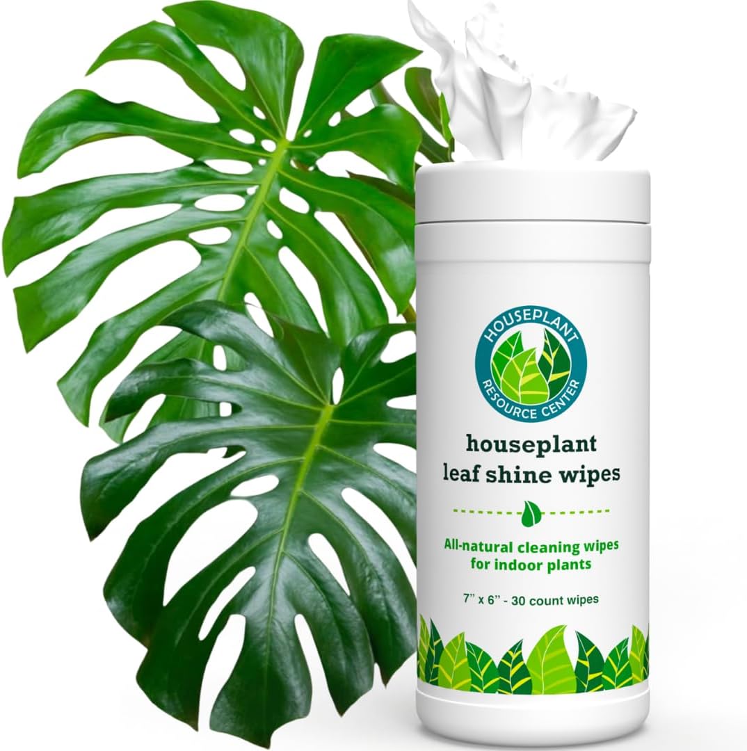 Houseplant-Leaf-Shine-&-Cleaner-Wipes-|-Removes-Dust,-Dirt-325