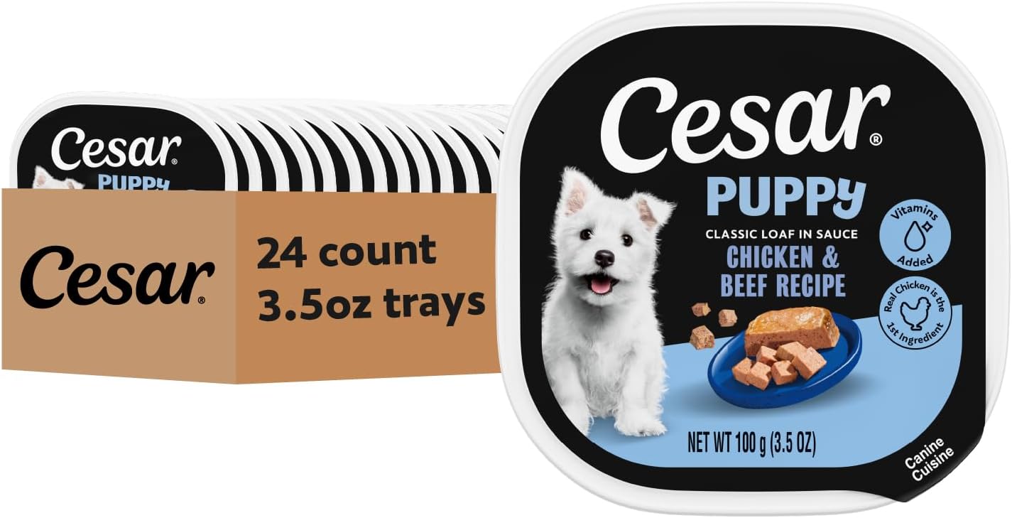 Cesar-Puppy-Classic-Loaf-in-Sauce-Wet-Dog-Food,-Chicken-&-Beef-Recipe,-2407