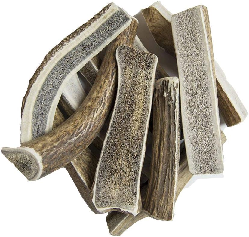 hotspot-pets-Premium-Split-Elk-Antlers-for-Dogs---7-Inch-Dog-2299