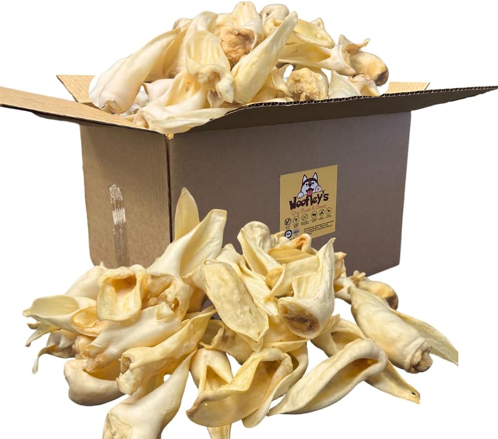 1-Natural-Whole-Lamb-Ear-Dog-Chews--100-1396