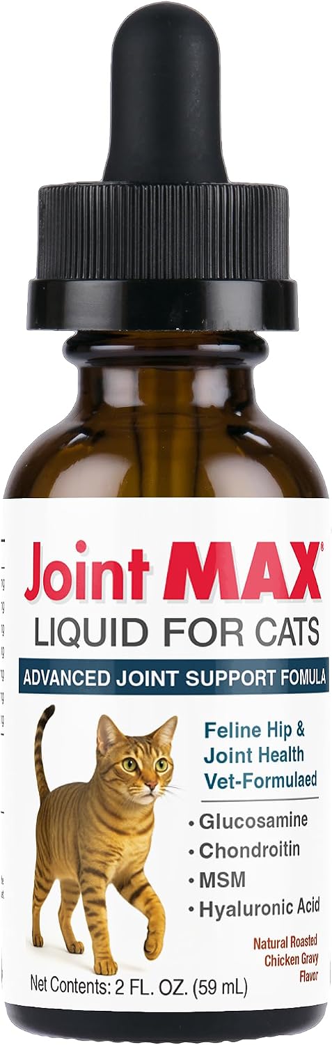 Liquid-for-Cats-–-Joint-&-Mobility-Support-Supplement-with-Glucosamine,-MSM,-Chondroitin,-812