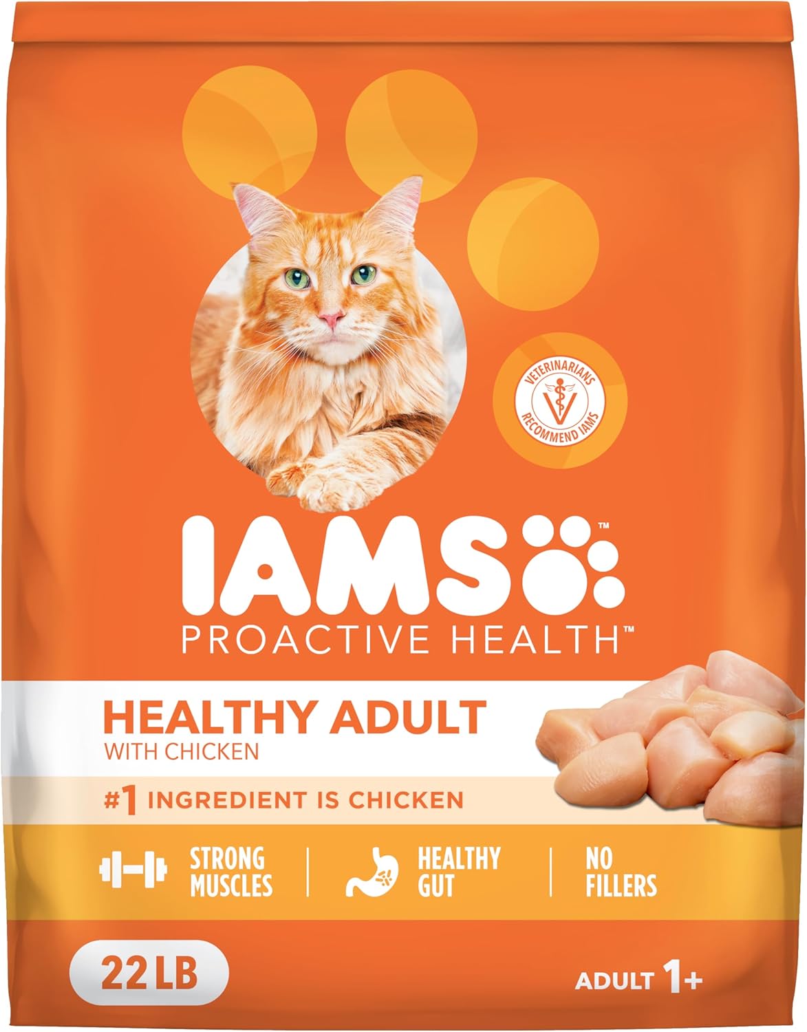 IAMS-Proactive-Health-Adult-Healthy-Dry-Cat-Food-with-Chicken,-22-Bag----1971