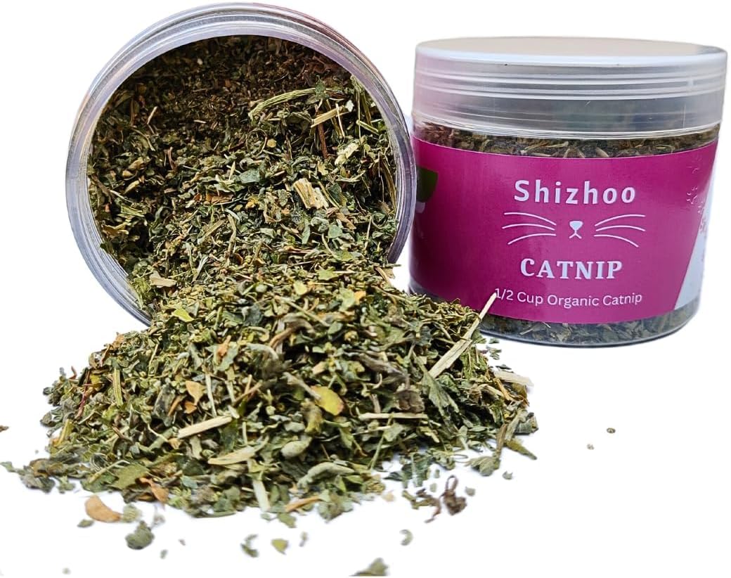 Catnip-for-Cats-with-Leaves-and-Flowers-1-and-3
