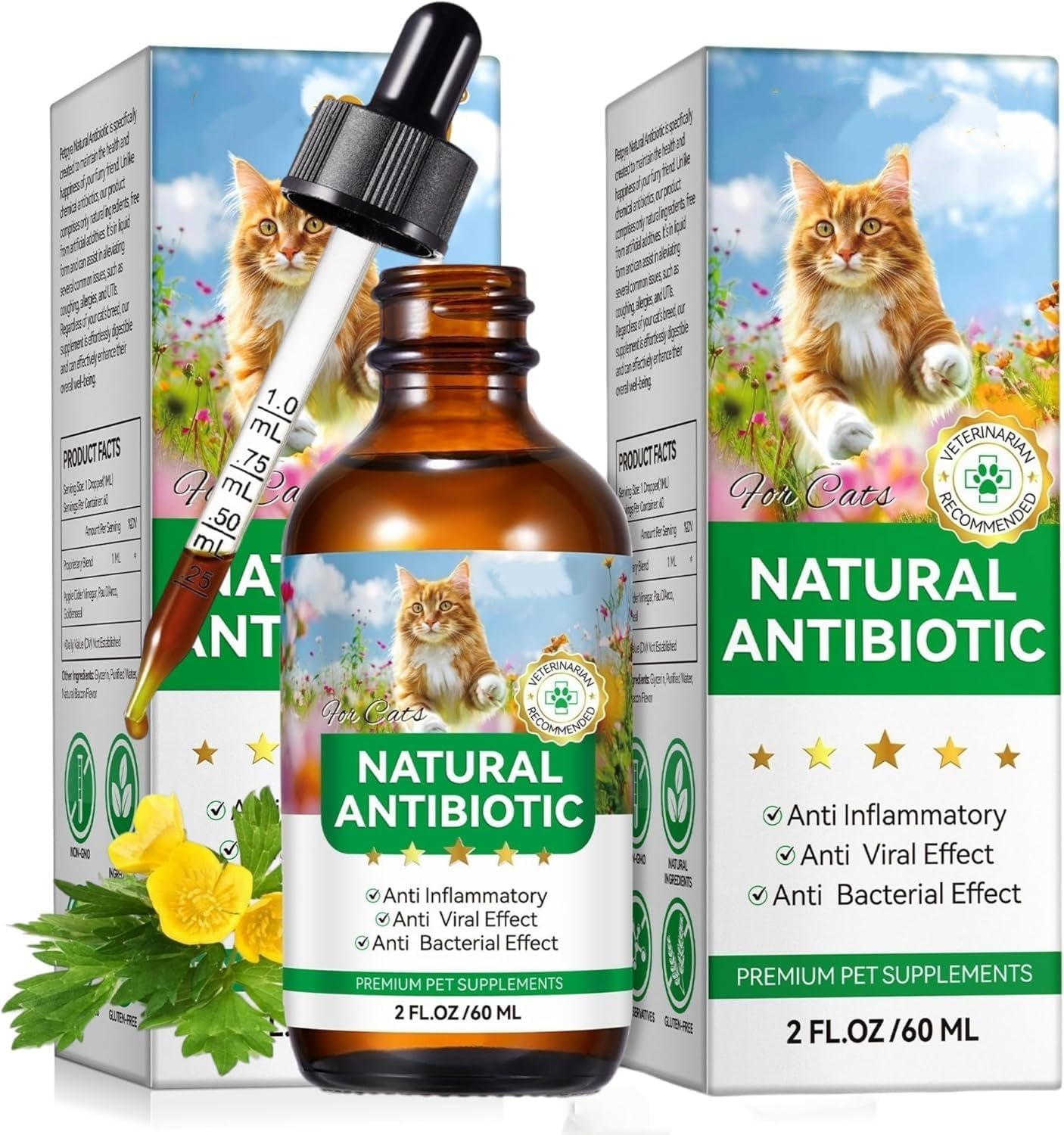 Antibiotics-for-Cats,-Natural-Antibiotics-for-Cats,-Cat-Antibiotics-for-Infection-Supports-Immune-665