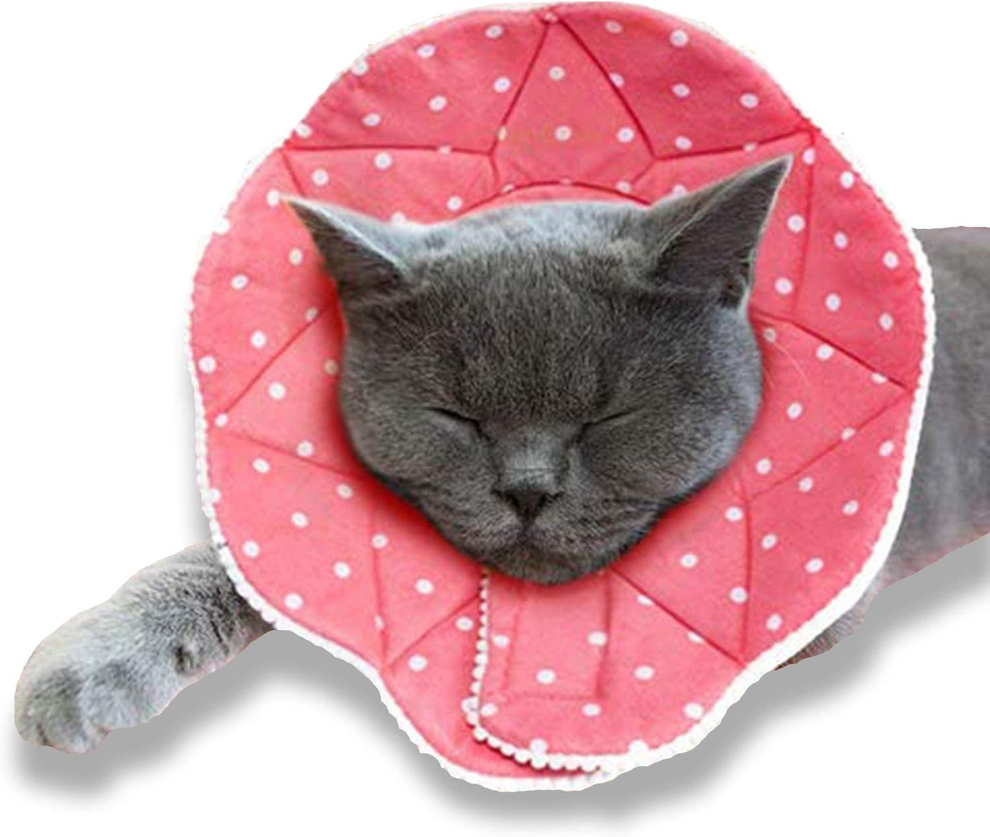 SunGrow-Cat-Cone-Collar-Soft,-Pet-Recovery-Elizabethan-E-Collar-Soft-Neck-Cone-463