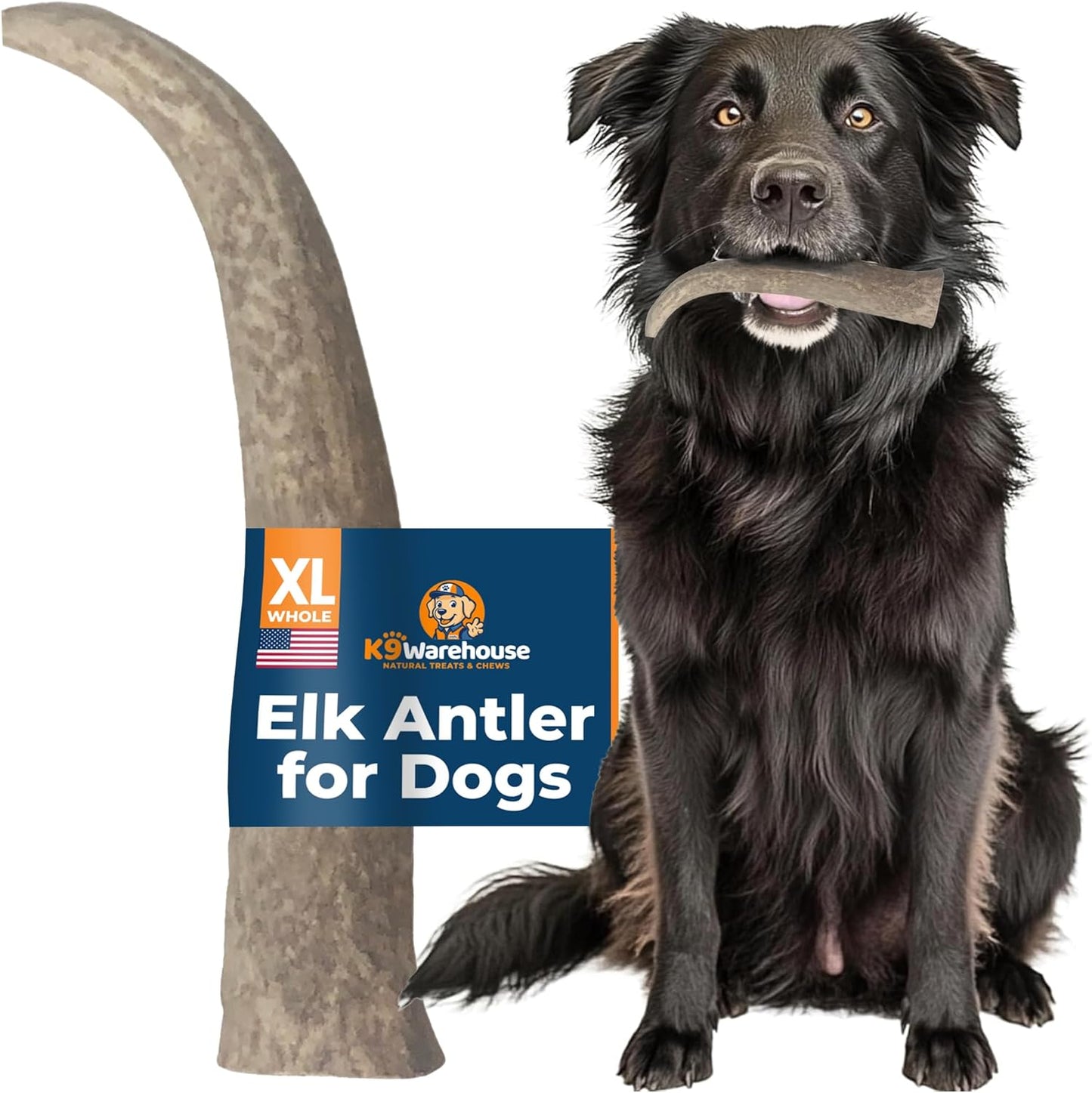 Elk-Antlers-for-Dogs---Split-&-Whole-142
