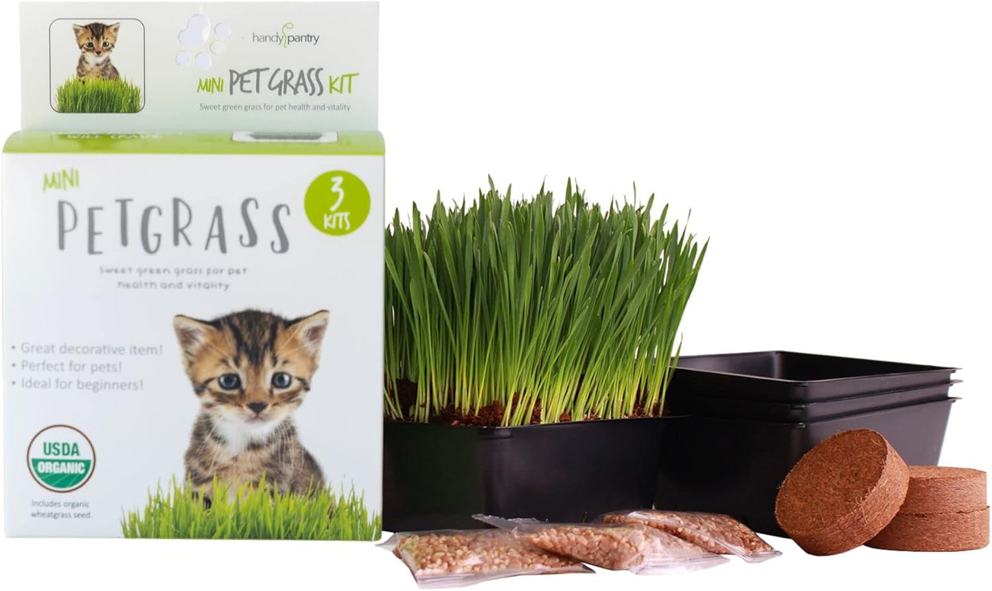 Organic-Cat-Grass-Kit---Includes-3-Trays,-Pucks,-3