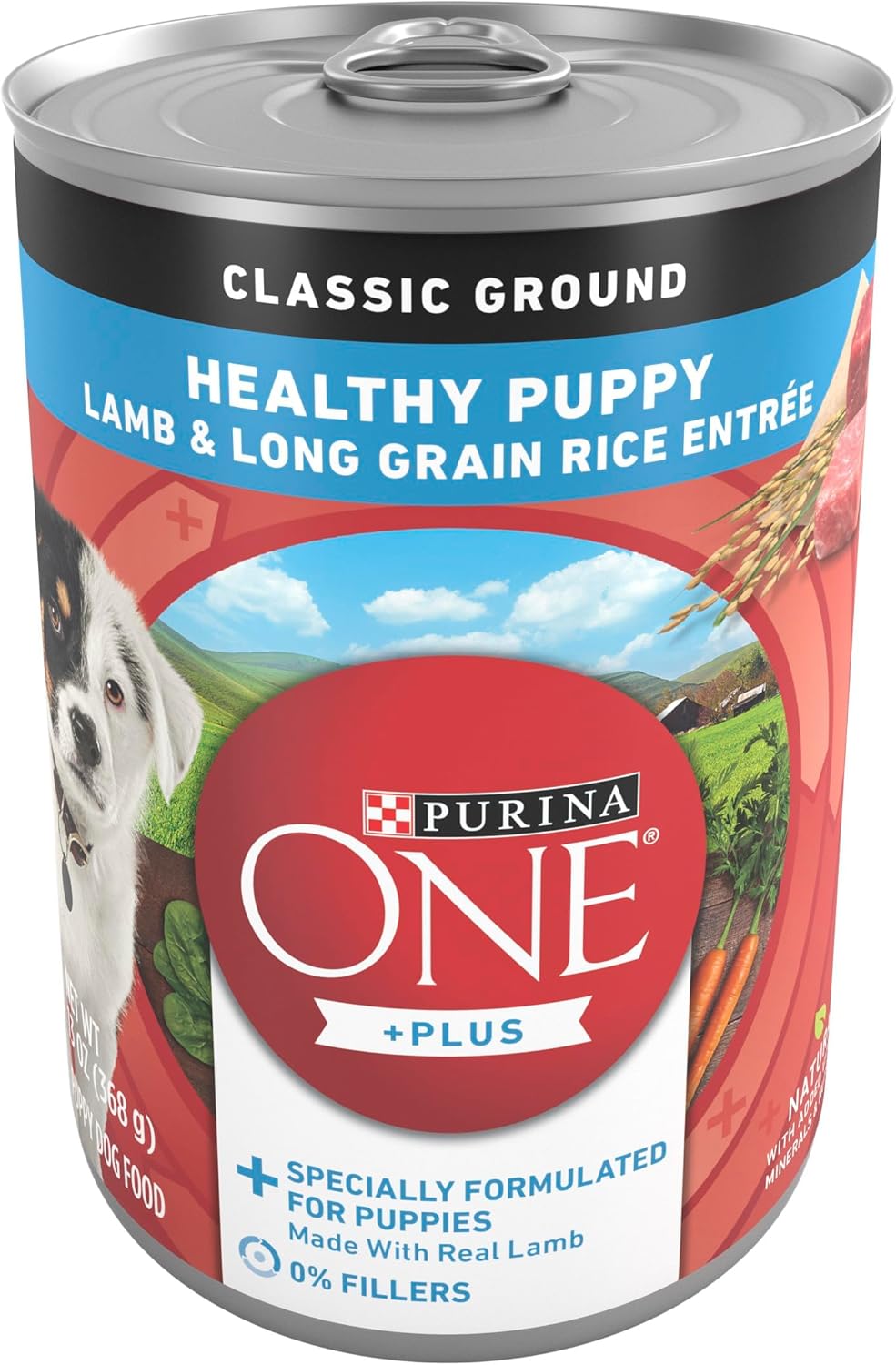 ONE-Lamb-and-Rice,-13-Oz---------------573