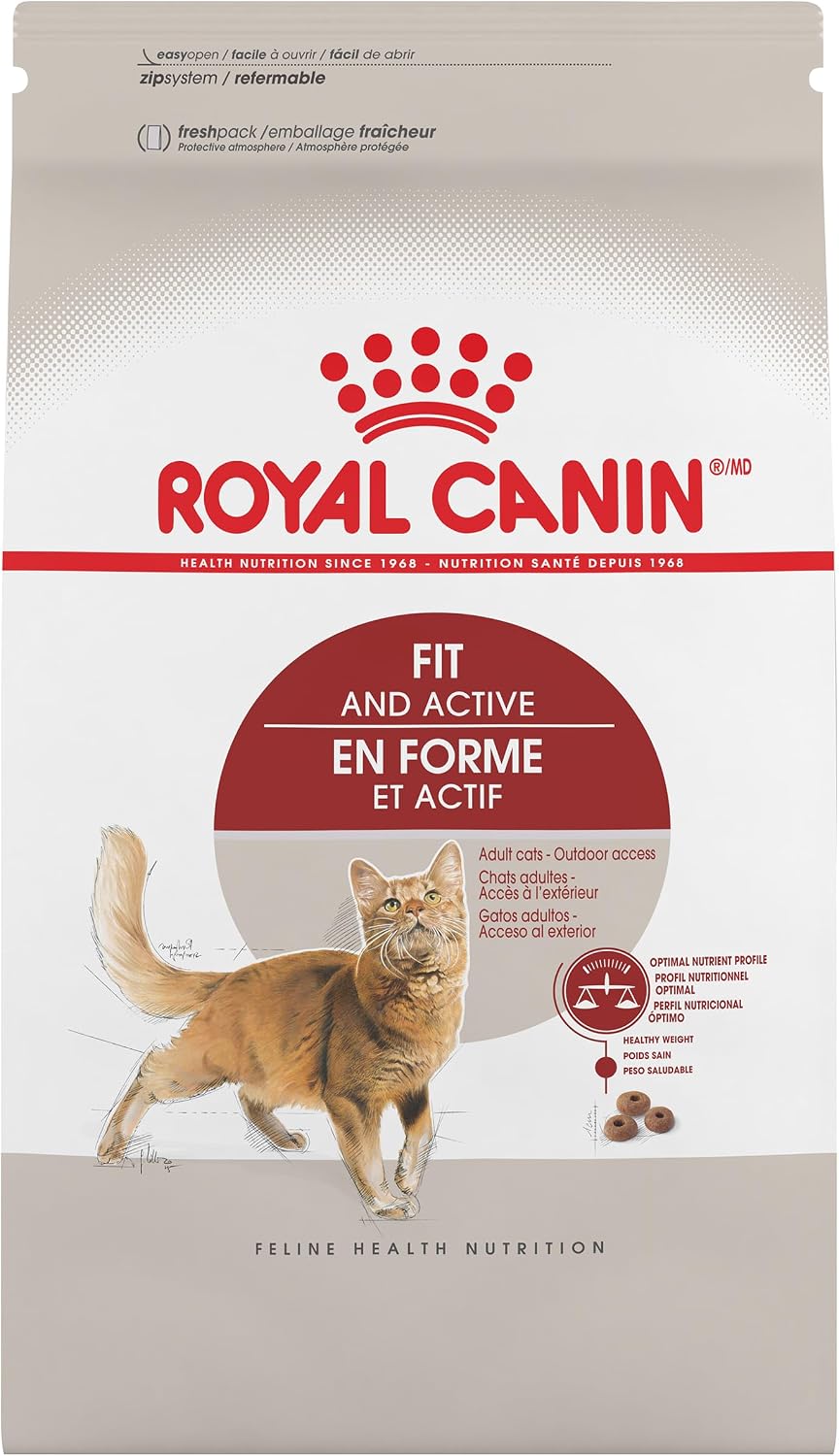 Royal-Canin-Feline-Health-Nutrition-Fit-And-Active-Adult-Dry-Cat-Food,-3-1338