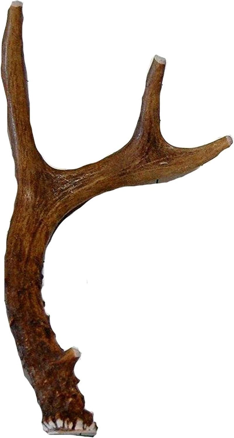 Small-Whole-Deer-Antler-Dog-Chew,-For-Small-to-Medium-Size-and-810