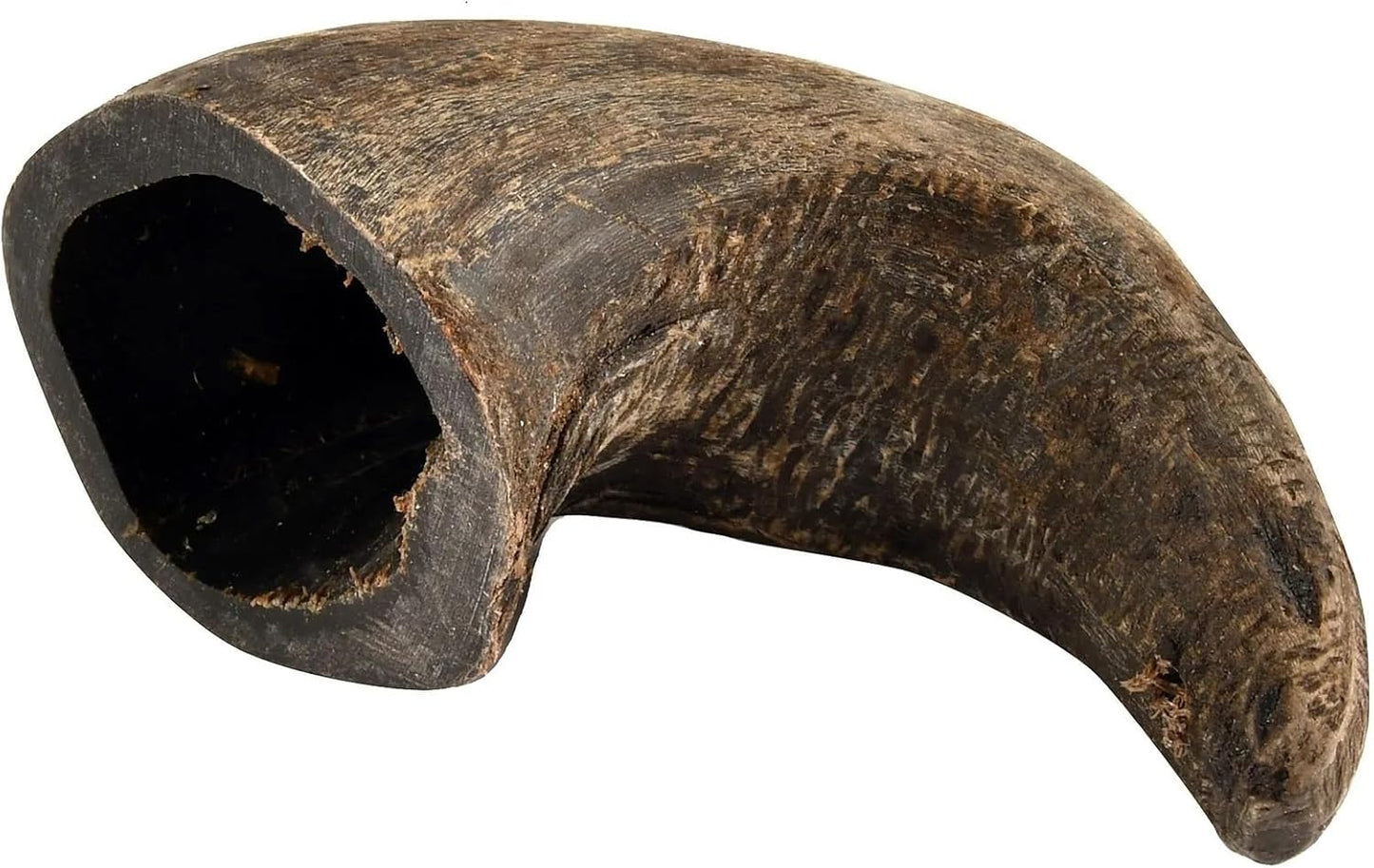 QT-Dog-Buffalo-Hornz-Water-Buffalo-Horn-Dog-1576