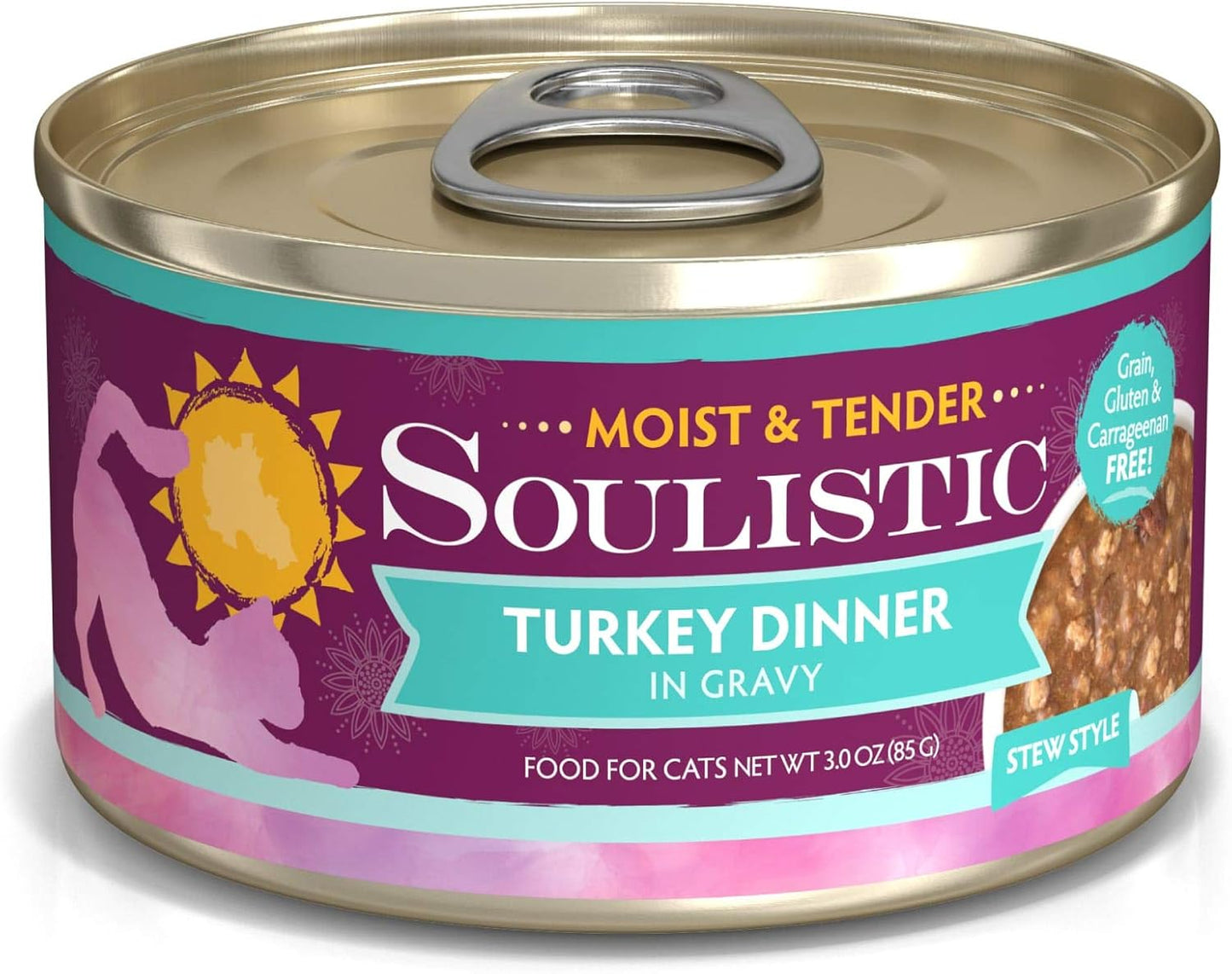 Soulistic-Moist-&-Tender-Turkey-Dinner-in-Gravy-746