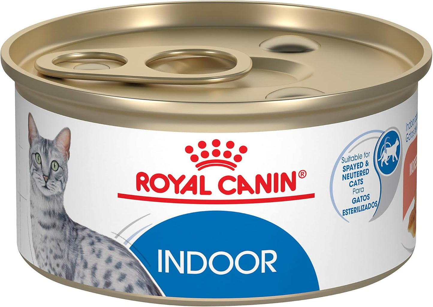 Royal-Canin-Feline-Health-Nutrition-Indoor-Adult-Morsels-in-Gravy-Cat-Food,-3-1839