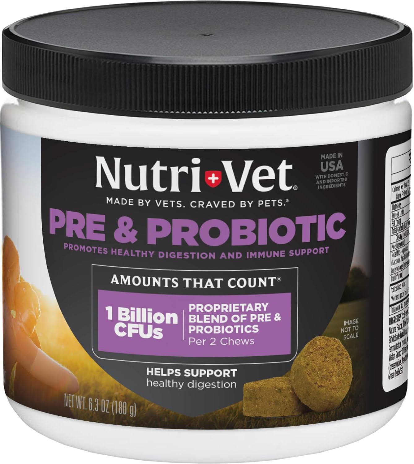 Nutri-Vet-Pre-&-Probiotics-for-Dogs,-Digestive-Support,-Upset-Stomach,-Puppy-Pet-649