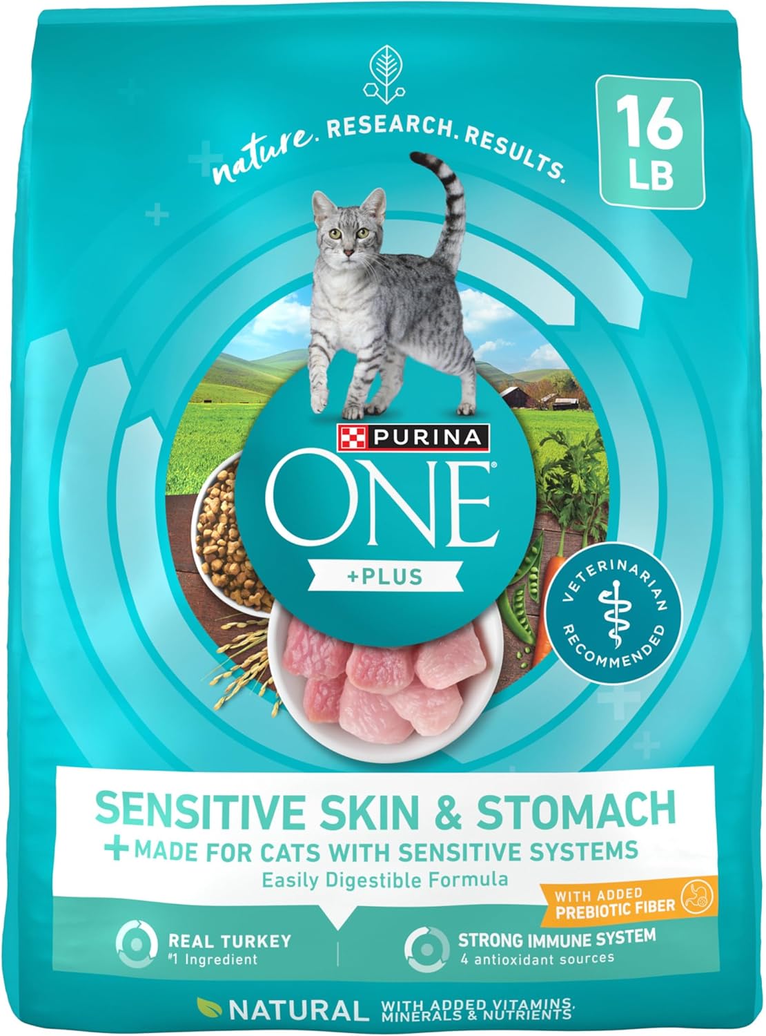 Purina-ONE-Sensitive-Stomach,-Sensitive-Skin,-Natural-Dry-Cat-Food,-+Plus-Skin-Stomach--1973