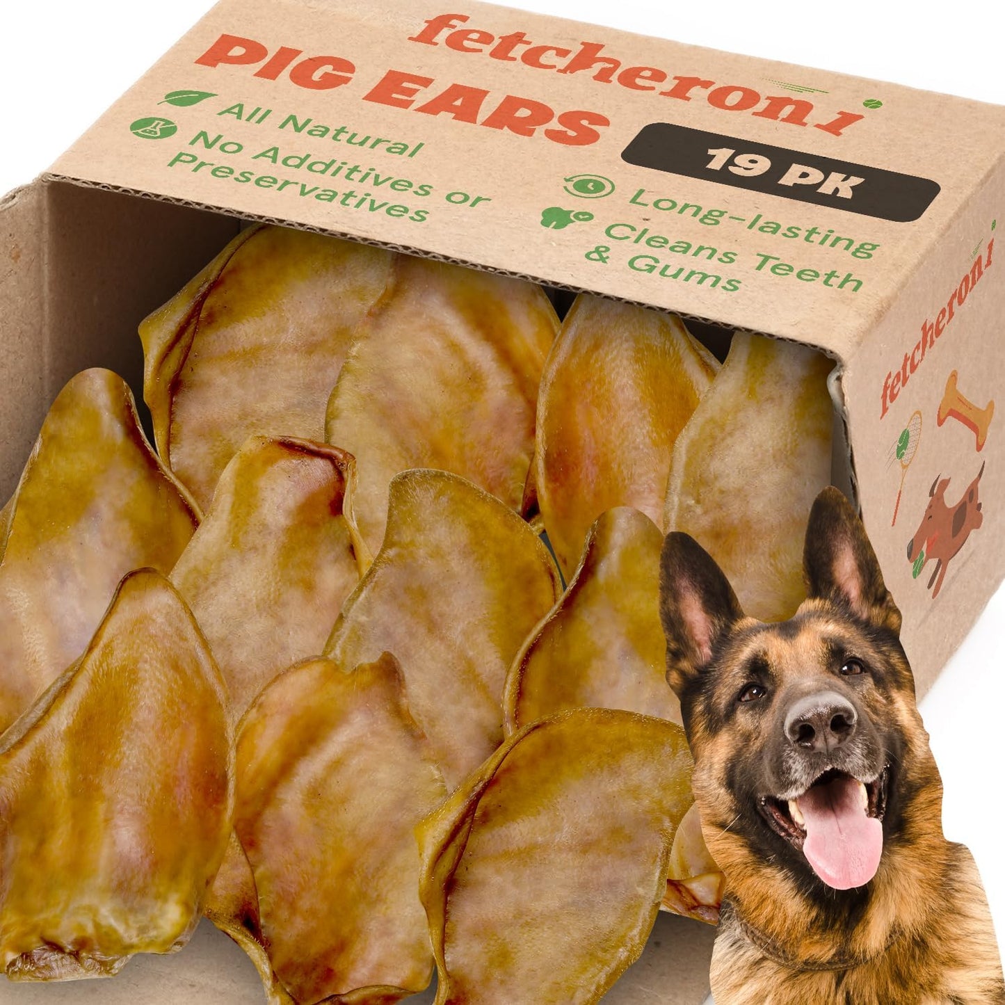 Whole-Pig-Ears-for-German-Shepherd-Dogs-Large-2056