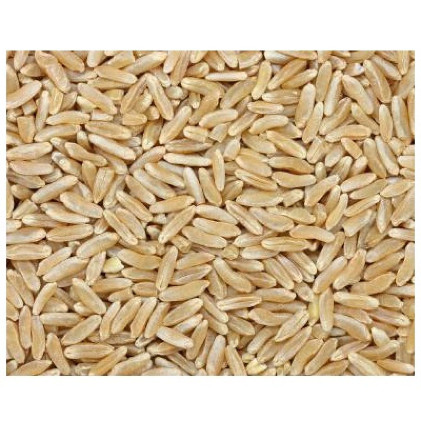 Grain-Place-Foods-|-Trigo-Kamut-Khorasan-orgánico-|-único-291