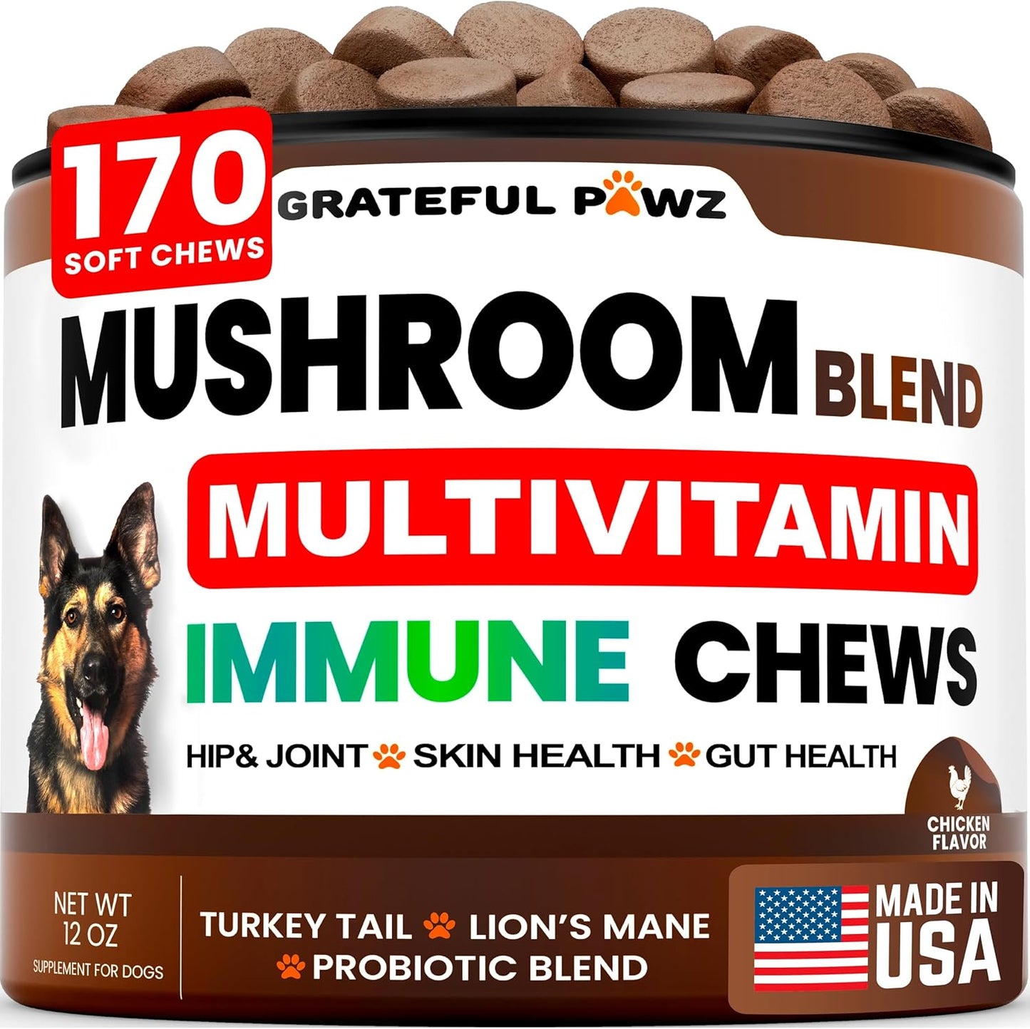 Turkey-Tail-Mushroom-Supplement-for-Dogs---170-Chews---Mushrooms-Dogs-209