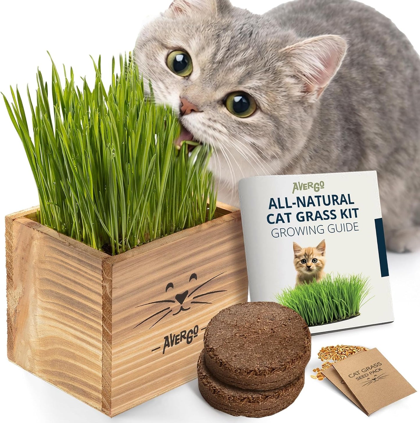 Cat-Grass-Kit-for-Indoor-Cats-–-x2-Seed-Packets-|-Cat-Grass-546