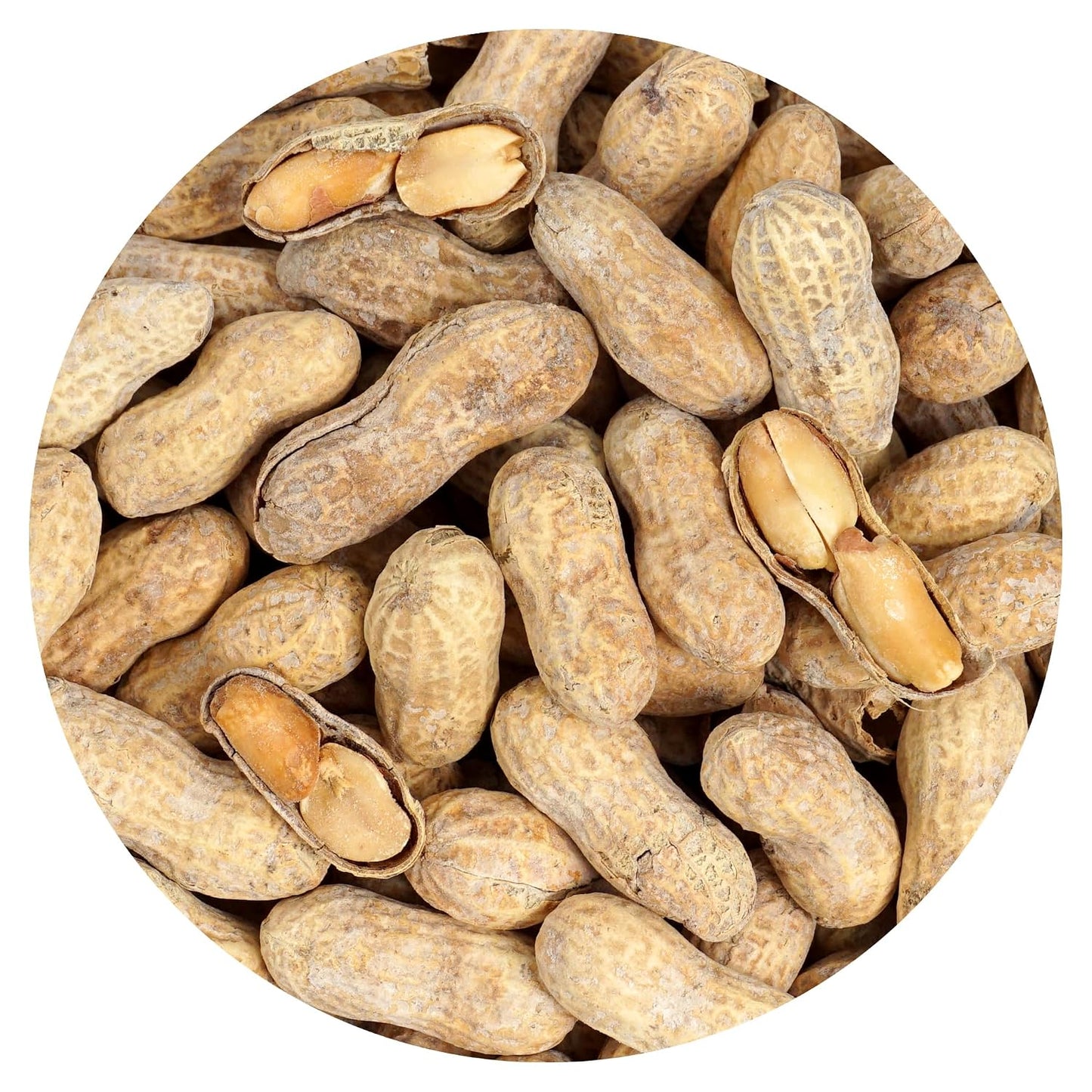Peanuts-In-Shell-Roasted-and-Salted,-2-Pound-Bag,-The-Hampton--Popcorn-&-Candy--1222