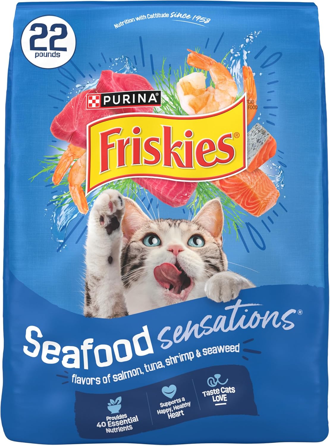Purina-Friskies-Dry-Cat-Food-Seafood-Sensations-With-Salmon,-Tuna,-and-Flavors-22-Bag2010