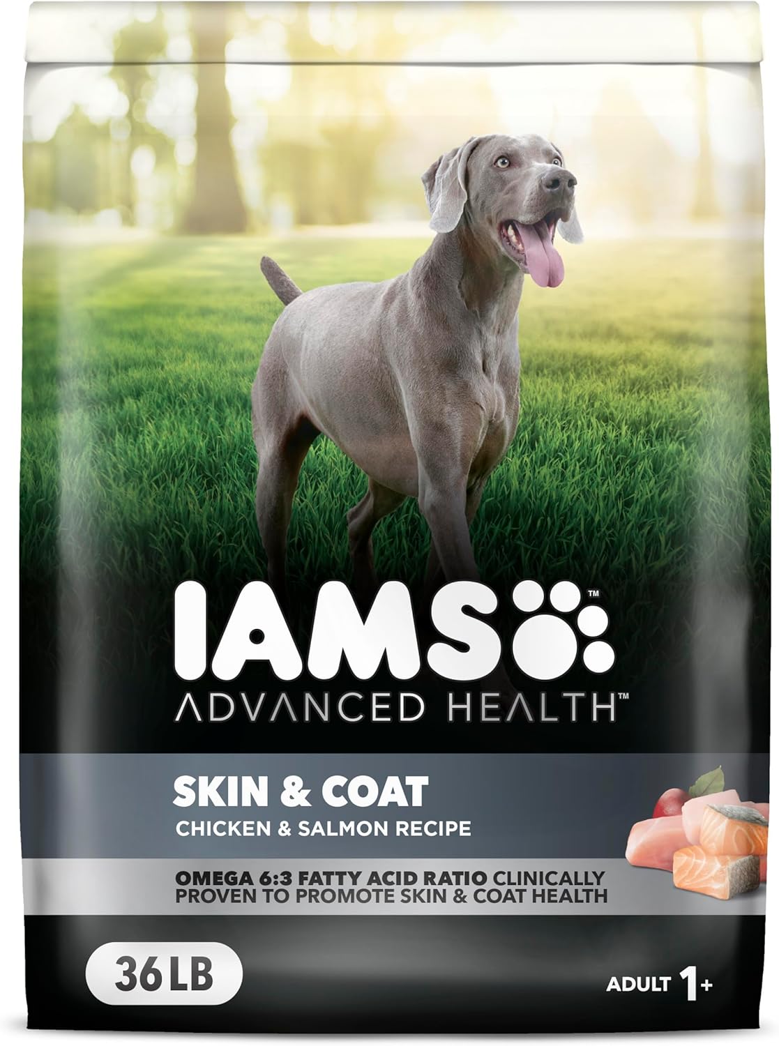 IAMS-Advanced-Health-Skin-&-Coat---Alimento-seco-2543
