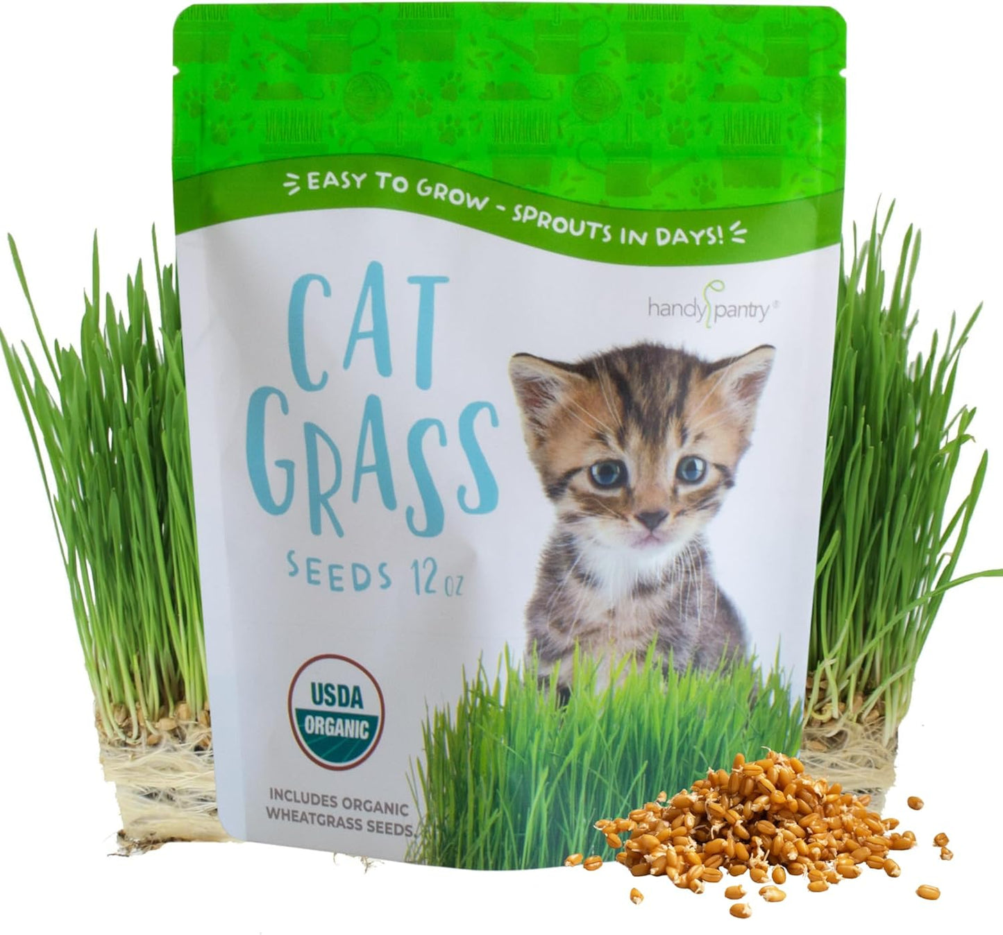 Certified-Organic-Cat-Grass-Seeds-by-Handy-Pantry-Non-GMO-3