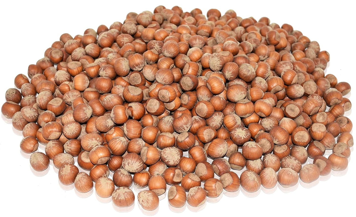 Anna-and-Sarah-Large-Oregon-Hazelnuts-in-Shell-in-Box,-5--Lbs----195