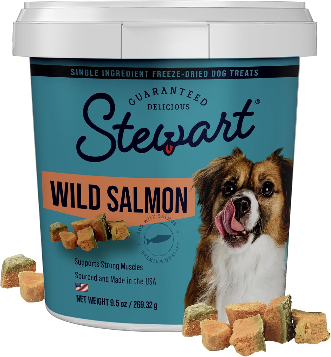Stewart-1-Wild-Salmon-Dog-Treats,-9.5-oz-Tub,-~190-Pieces,-Dried-2612