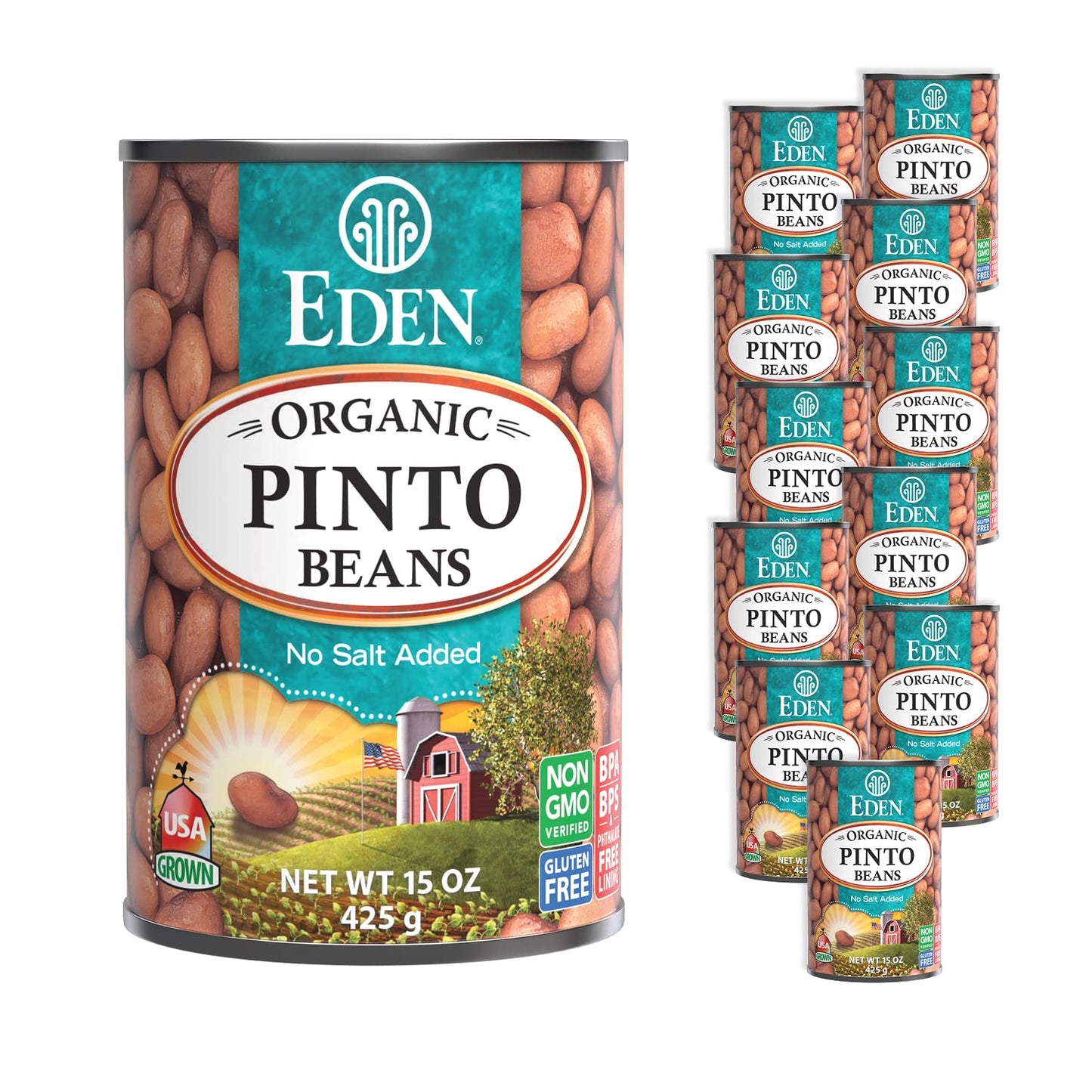 Eden-Organic-Pinto-Beans,-15-oz-2066