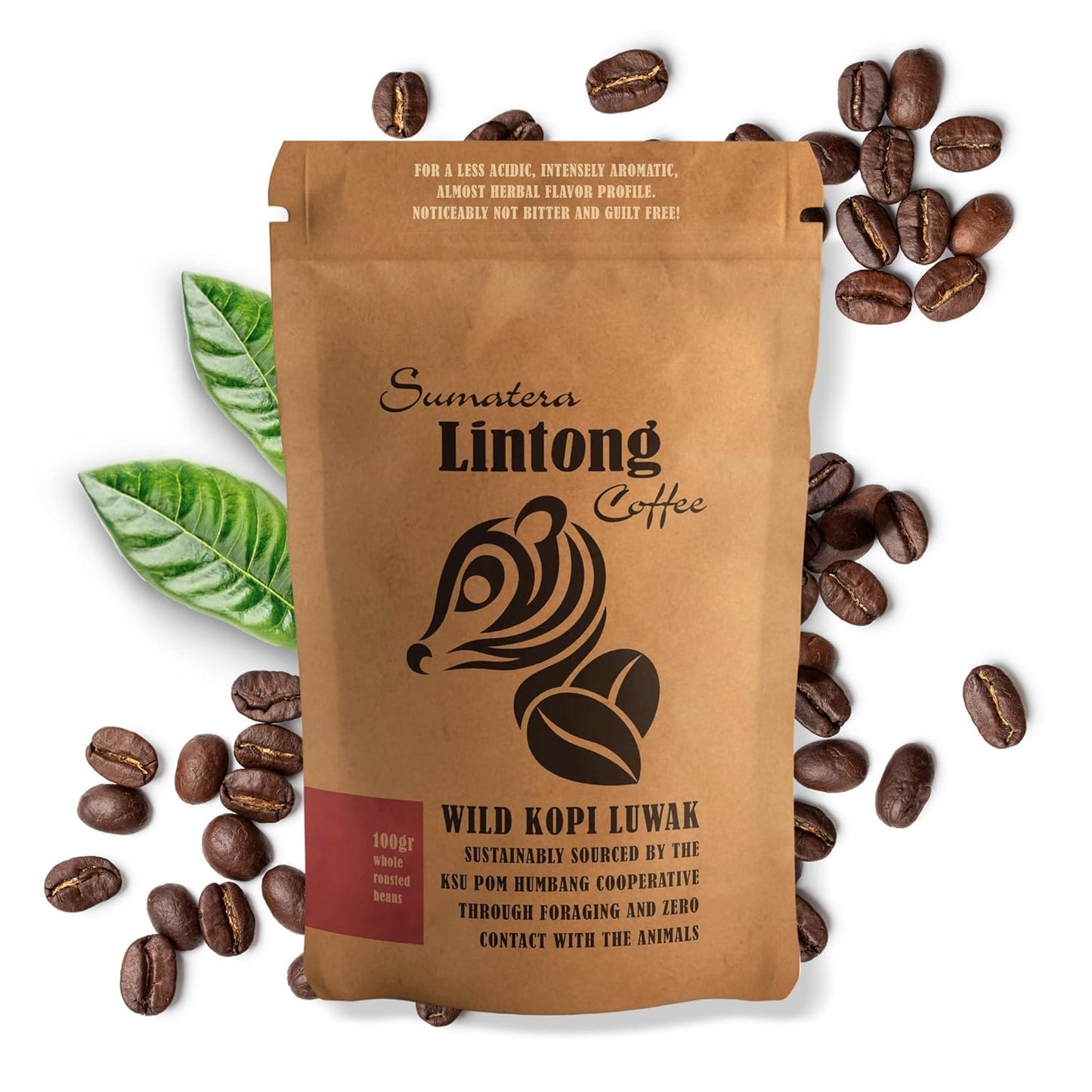 Wild-Kopi-Luwak,-el-café-más-exclusivo-del-mundo,-de-origen-de370