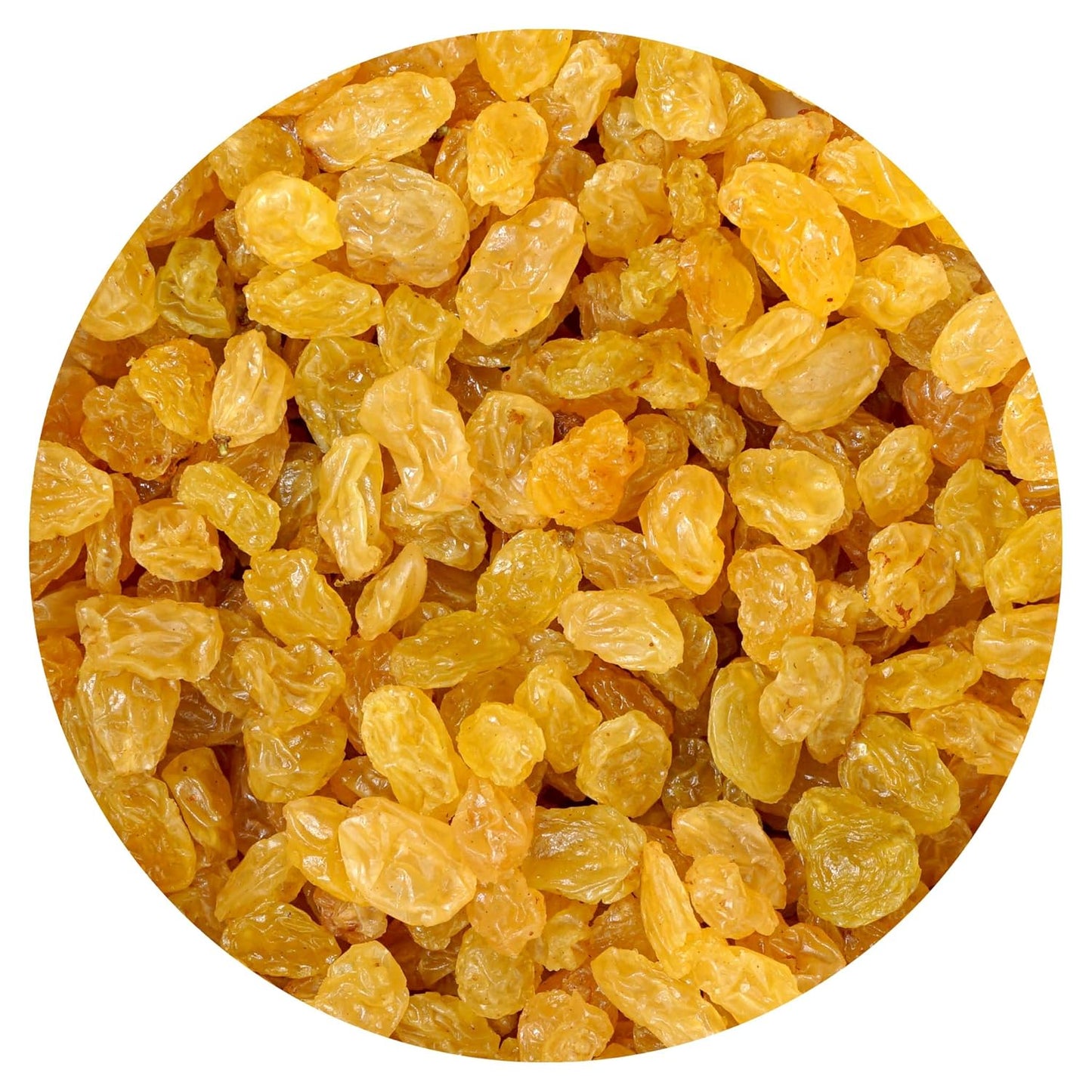 Golden-Raisins,-1-Pound-Bag-Raisins,-The-Hampton-Popcorn-&-Candy-Company-----634