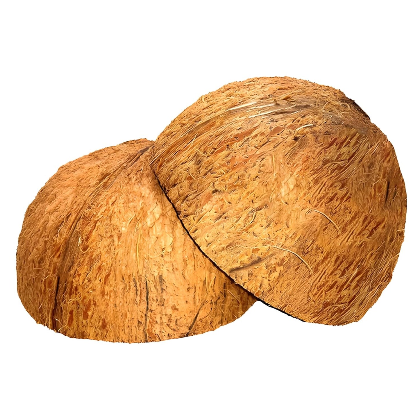 Natural-Coconut-Shell-Halves,-Eco-Friendly-Organic-Bowls-for-Crafts,-Pet-Feeder,-Candle-and-Decorations,-781