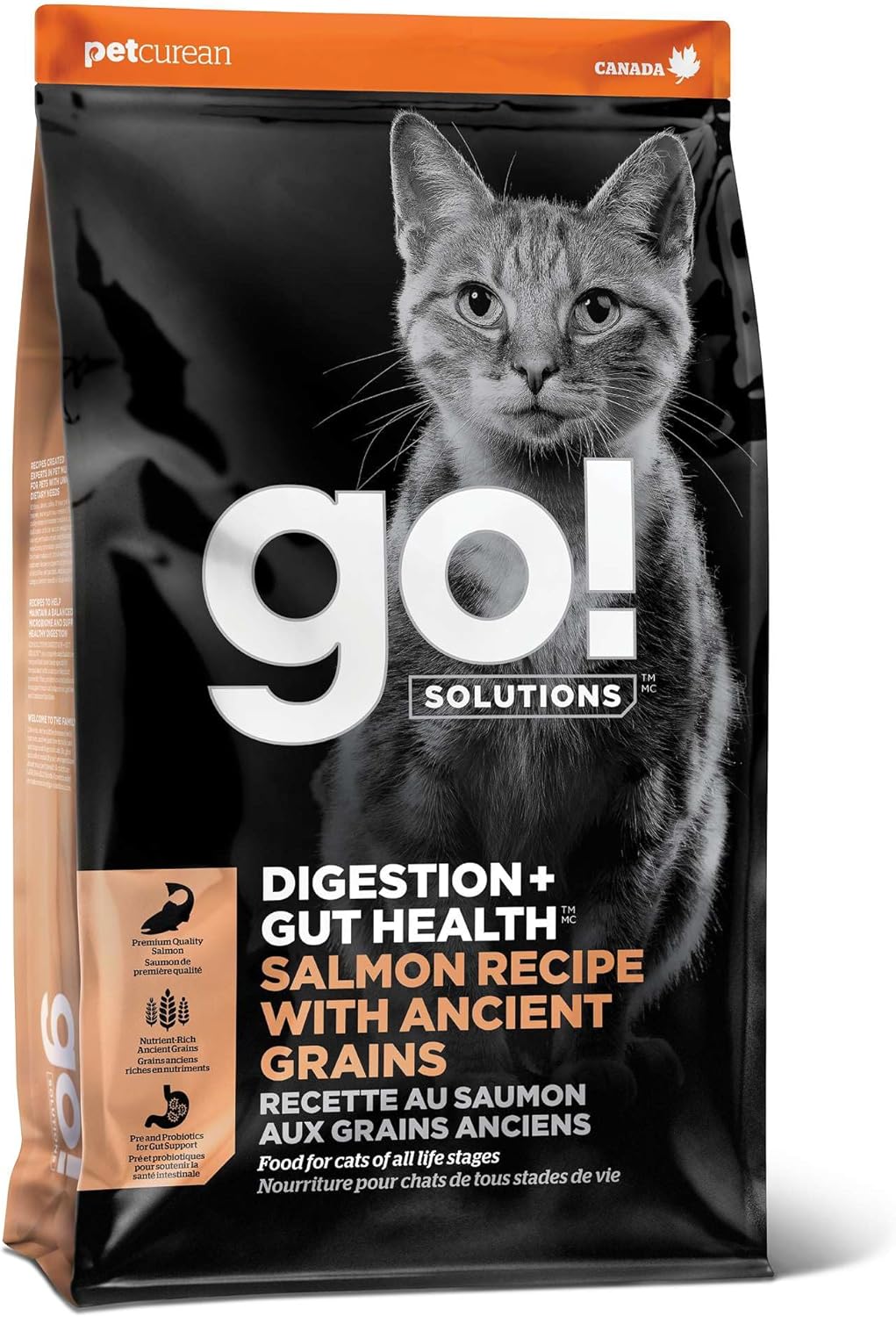 Go!-Solutions-Digestion-+-Gut-Health-Salmon-Dry-Cat-Food,-Premium-Kibble-Gastrointestinal-Digestive296
