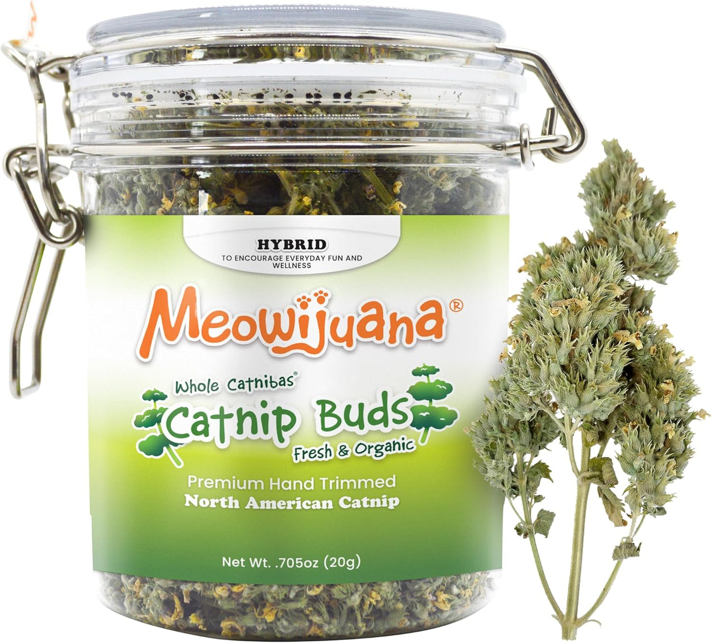 Dried-Catnip-Buds-Jar-|-Premium-Organic-Catnip-Grown-3