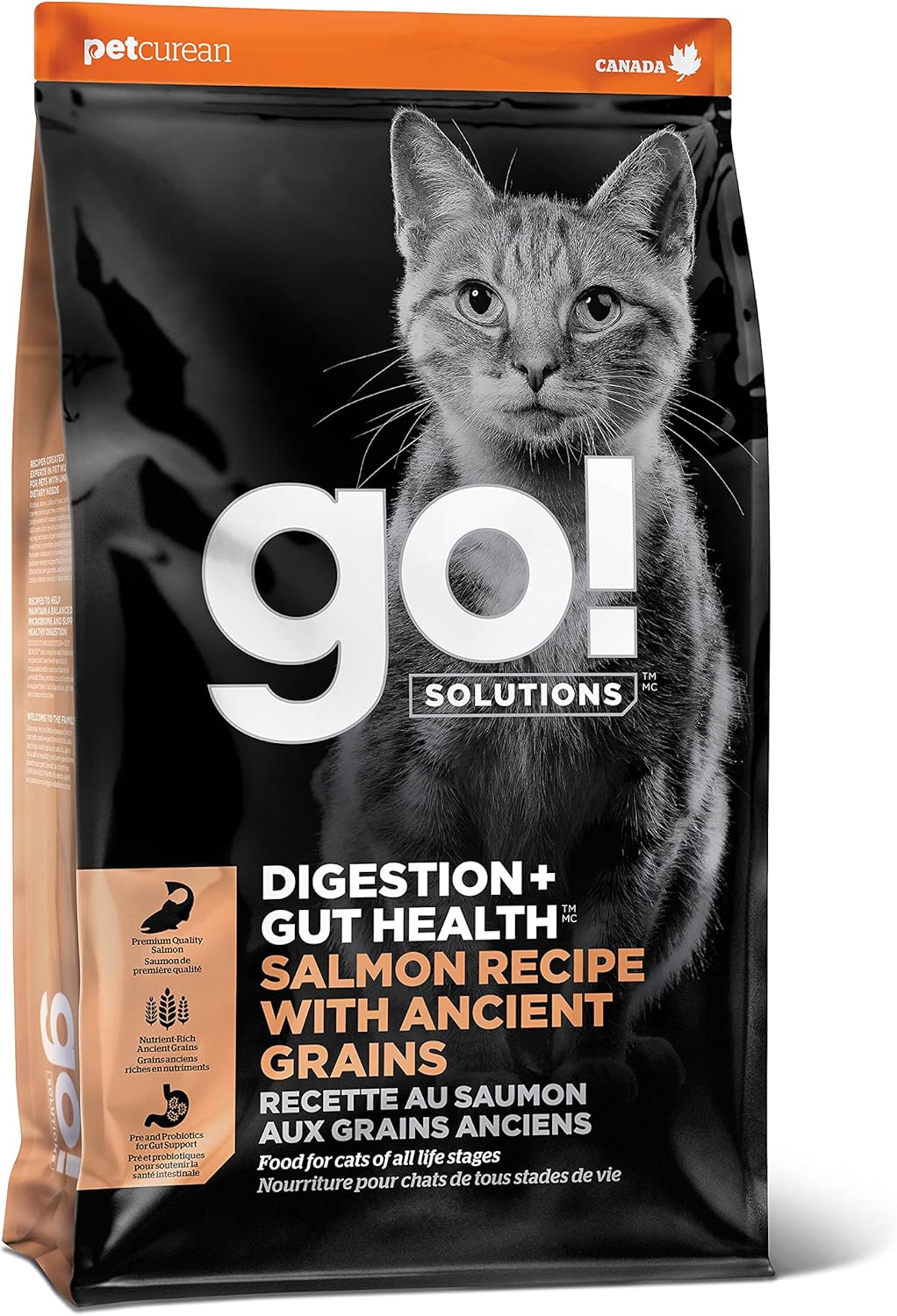 Go!-Solutions-Digestion-+-Gut-Health-Salmon-Dry-Cat-Food,-Premium-Kibble-Gastrointestinal-Digestive879