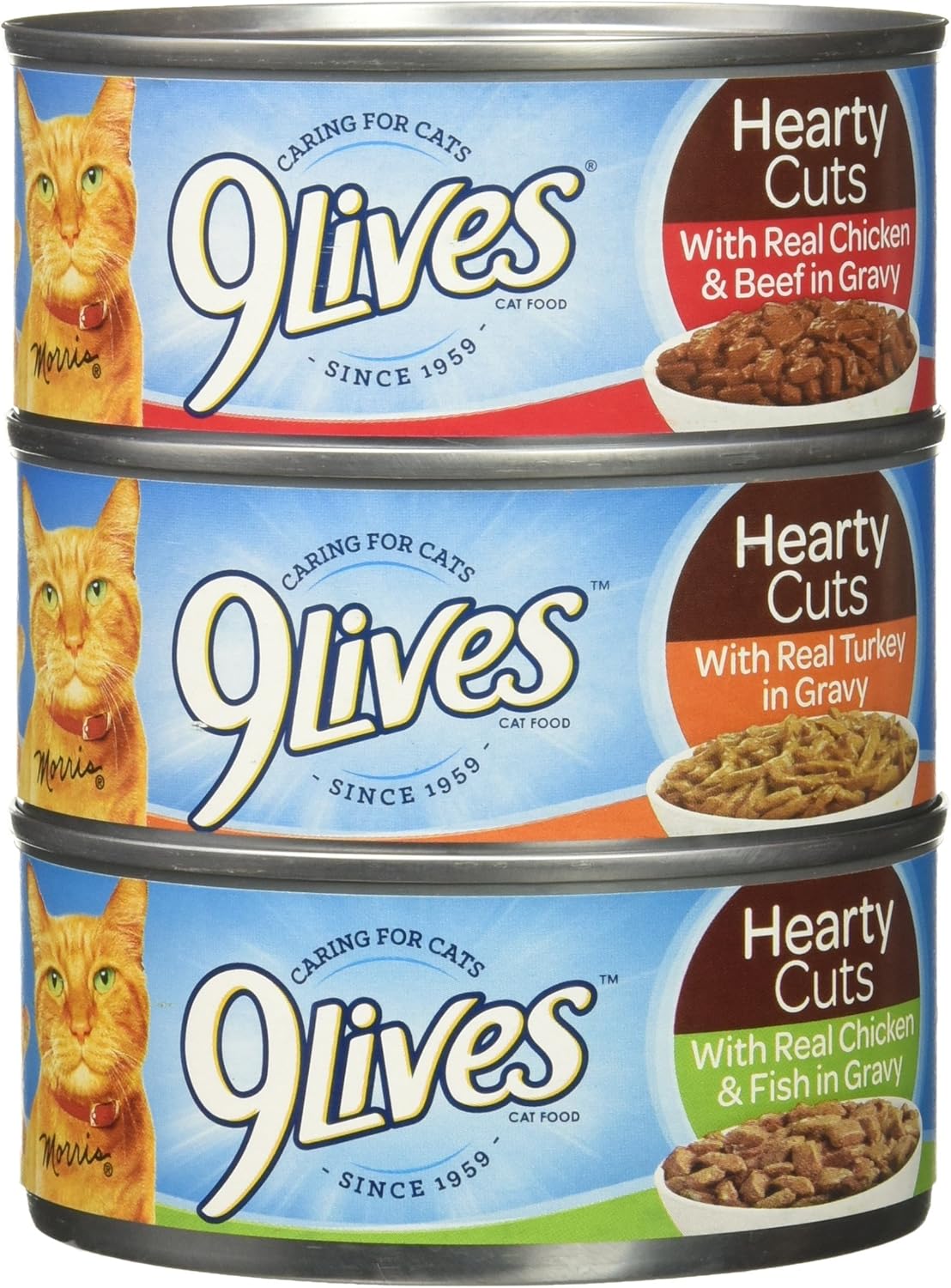 9Lives-Gravy-Favorites-Wet-Cat-Food-Variety-Pack,-1937