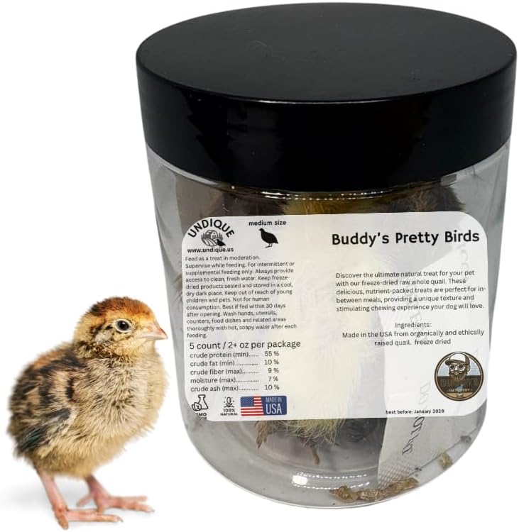 Undique-Whole-Quail-for-Carnivore-Pets---Natural-Prey-Feeding---Quality-Protein-403