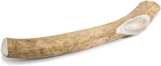 Prairie-Dog-Pet-Products-Deer-Large-Antler-Treat,-8-9"----1829