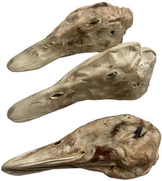 Freeze-Dried-Duck-Heads-for-Dogs---Duck-650