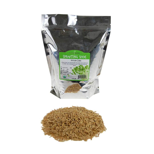 Handy-Pantry-Semillas-de-avena-enteras-orgánicas-sin-OMG-2-489