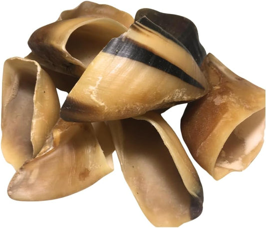 Premium-Cow-Hooves-for-Dogs-(25-pc/pk)---1809