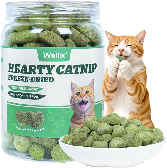 Wellix-Catnip-Treats-Freeze-Dried-Cat-Treats,-Grain-Free-Snacks-with-Chicken,-Cat-Grass-&-Catnip-233
