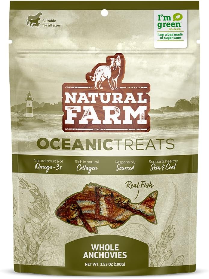 Real-Fish-Dog-Treats---Dried-Anchovies,-1-1532