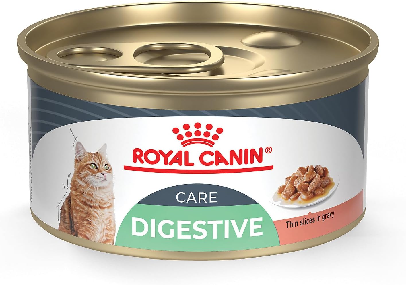 Royal-Canin-Feline-Digestive-Care-Thin-Slices-in-2279