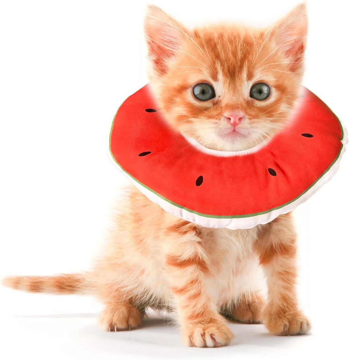 Kitten-Cones-After-Surgery-0-6-Months,-Donut-Extra-Small-Cone-Collar-|-Soft-1359