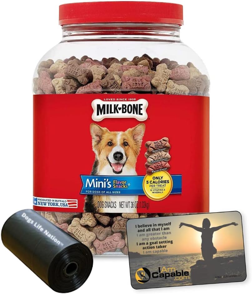 36-oz.-Canister-Mini's-Flavor-Snacks,-I-AM-651